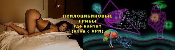 молекула духа Медвежьегорск