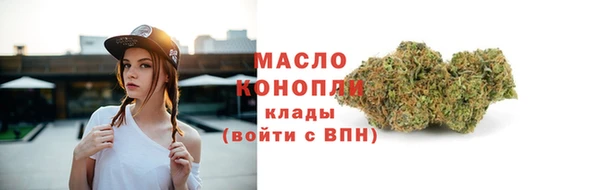 молекула духа Медвежьегорск