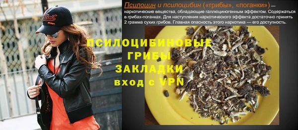 молекула духа Медвежьегорск