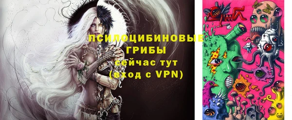 молекула духа Медвежьегорск