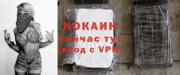 молекула духа Медвежьегорск