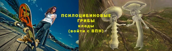 молекула духа Медвежьегорск