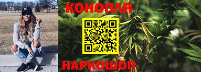 хмурый Гай