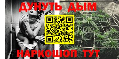 спайс Гатчина