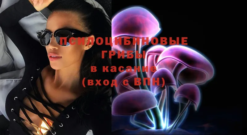 Галлюциногенные грибы Magic Shrooms  Стерлитамак 