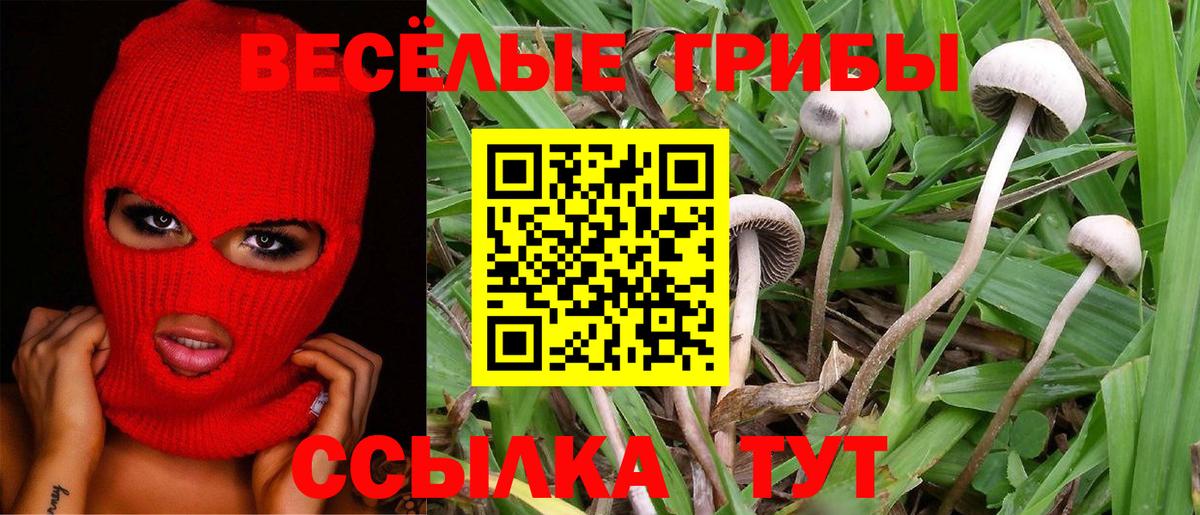 Галлюциногенные грибы MAGIC MUSHROOMS Стерлитамак